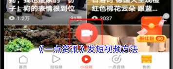 一点资讯下载的视频保存在哪里