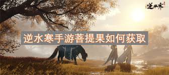 逆水寒手游如何获取菩提果