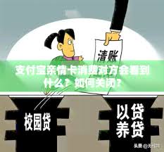 支付宝亲情卡对方能看到消费内容吗