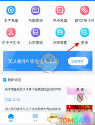 如何查看武汉通冲红历史