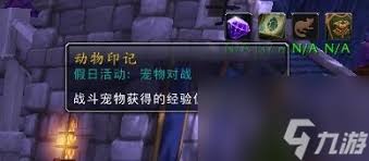 魔兽世界战斗宠物如何升级