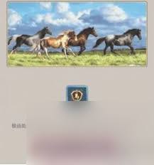 这就是江湖马有什么用处