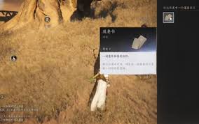 燕云十六声中与卿书任务怎么完成