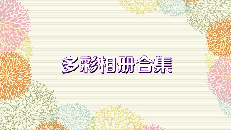 多彩相册合集