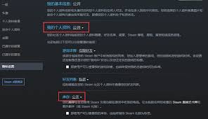 c5game怎么更改交易链接