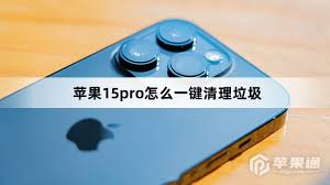 苹果15pro怎样一键清理垃圾