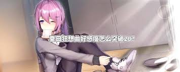 夏日狂想曲如何提升好感度