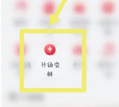 荣耀70pro怎么升级鸿蒙系统