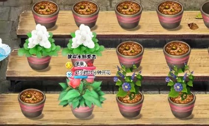 模拟养花的手游