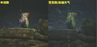 怪物猎人荒野端丽翼鸟在哪捕获