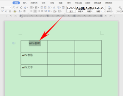 WPS文字中四种对齐方式有什么效果展现