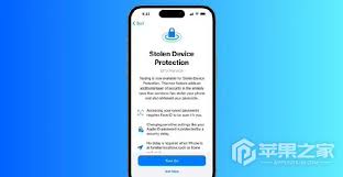 iPhone15Pro怎么设置被盗设备保护功能