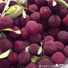 梅雨的梅是什么含义