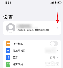 iphone手机怎样取消横屏