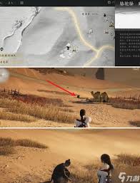 燕云十六声骆驼铃铛任务怎么完成