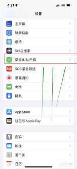 苹果下载软件如何设置人脸识别支付
