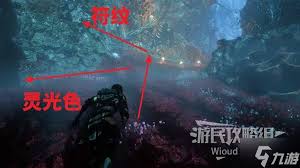 光与影33号远征队如何获取燃烧射击