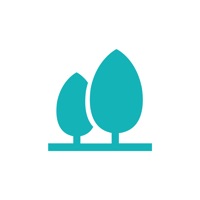 多朵园林苹果版