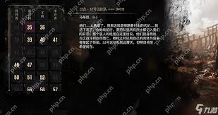 光与影33号远征队重要物品怎么全收集