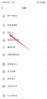 如何关闭soul虚拟伴侣