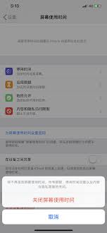 苹果手机如何取消访问限制