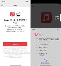 苹果如何取消音乐自动续费会员