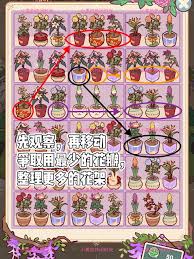 我的休闲时光怎么整理花架
