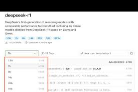 deepseek满血版和残血版的区别是什么