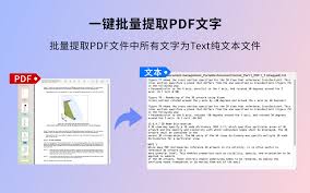 如何一键批量提取PDF文件图片