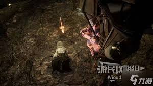 光与影33号远征队吕涅繁叶结怎么获取