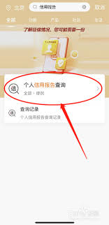 手机上如何查询个人征信