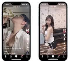 tiktok国际版在线网址是什么