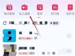 网易云音乐怎么关闭私人dj