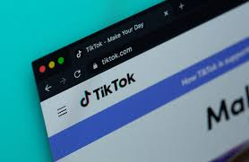 tiktok国内免登录如何直接看入口