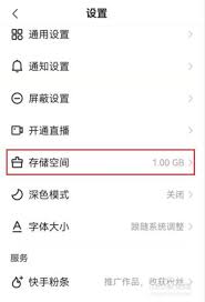 快手极速版存储空间位置在哪