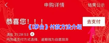 i茅台怎么付款