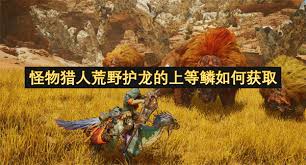 怪物猎人荒野护龙上等鳞怎么获取