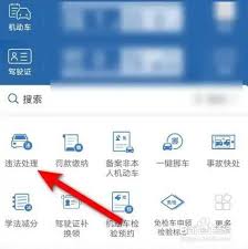 交管12123如何查违章