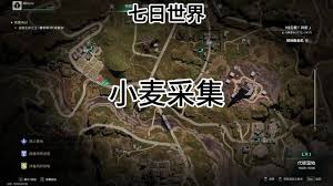七日世界变异小麦在哪里