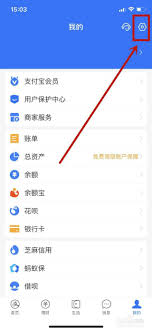 支付宝春暖花开皮肤如何获取