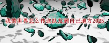 我的世界如何将队友传送到自己身边