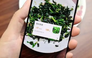扫描识物的手机app大全