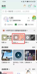 手机QQ音乐下载的歌曲本地为何找不到