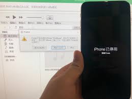 苹果手机已停用能否刷机