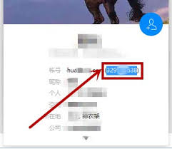 腾讯 TIM 中怎么看谁把我踢出群聊