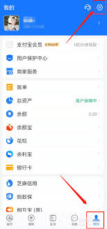 如何获取支付宝元宵节付款码皮肤