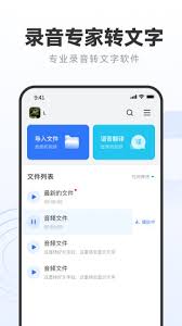 录音专家如何实现翻译语音