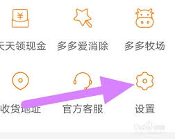 拼多多物流地图如何启动