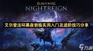 艾尔登法环黑夜君临隐士构筑玩法推荐