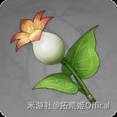 原神塔利雅培养材料怎么收集
